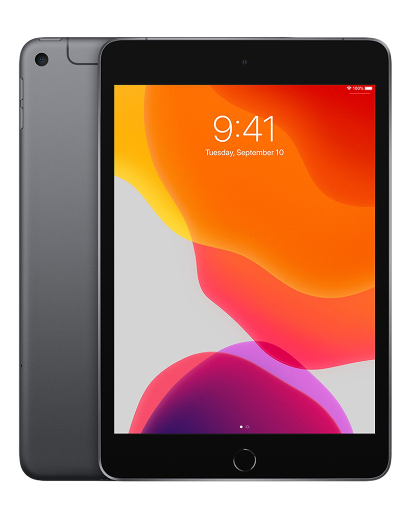 iPad Mini 5 Console Clinic