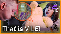 Teddy Bear Looks DISGUSTING Under A Microscope! | Gross up